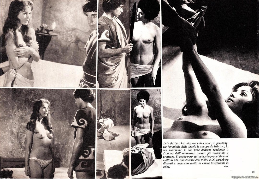 Барбара Брыльска эротические сцены