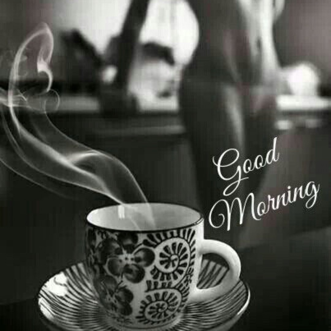 Кот не хочет вставать