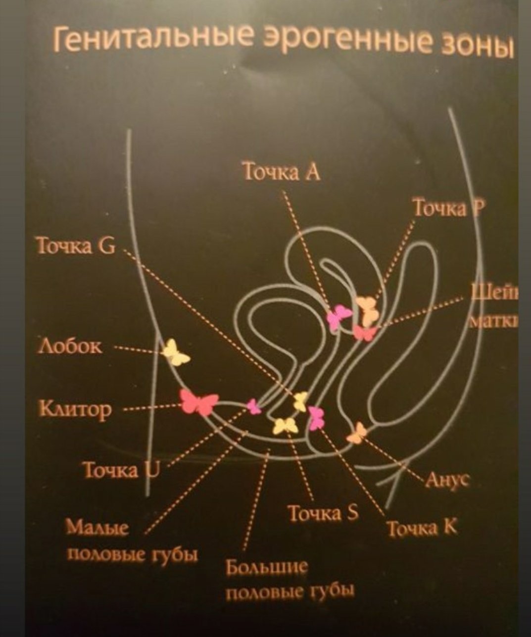 Интимный пирсинг у девушек