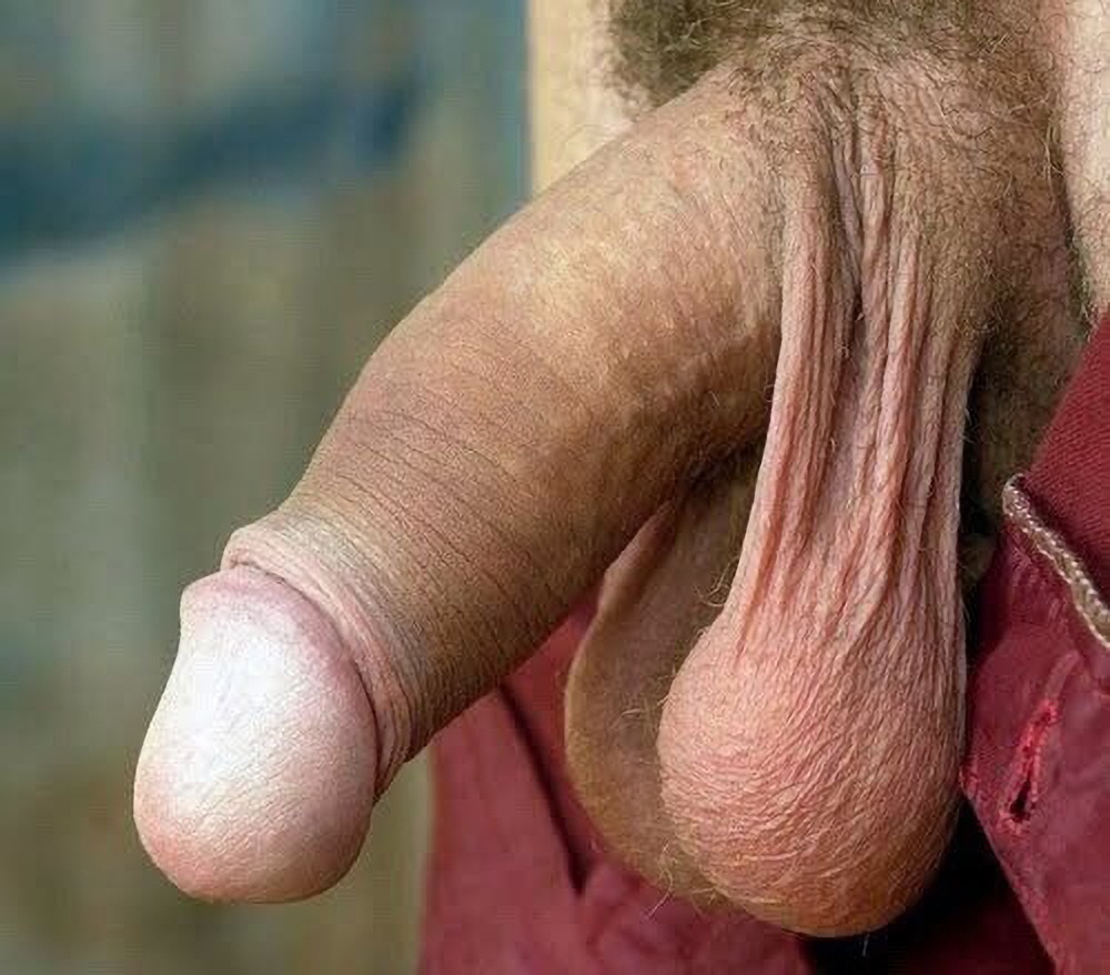 Огромный обвисший член