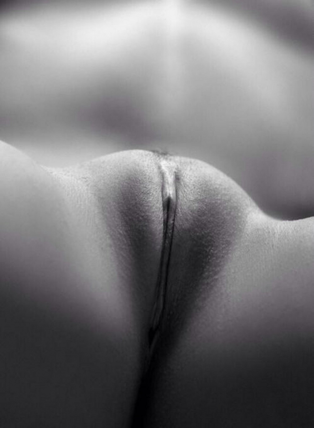 Красивый выпуклый лобок