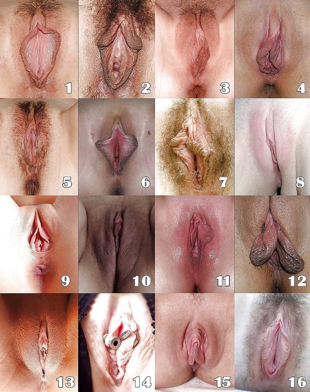 жен половые органы порно фото 25