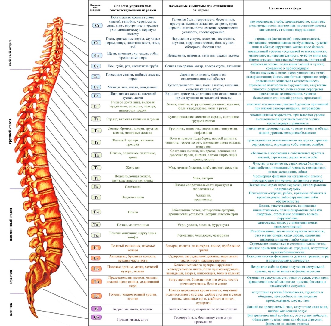 Психосоматика позвонков шейный отдел