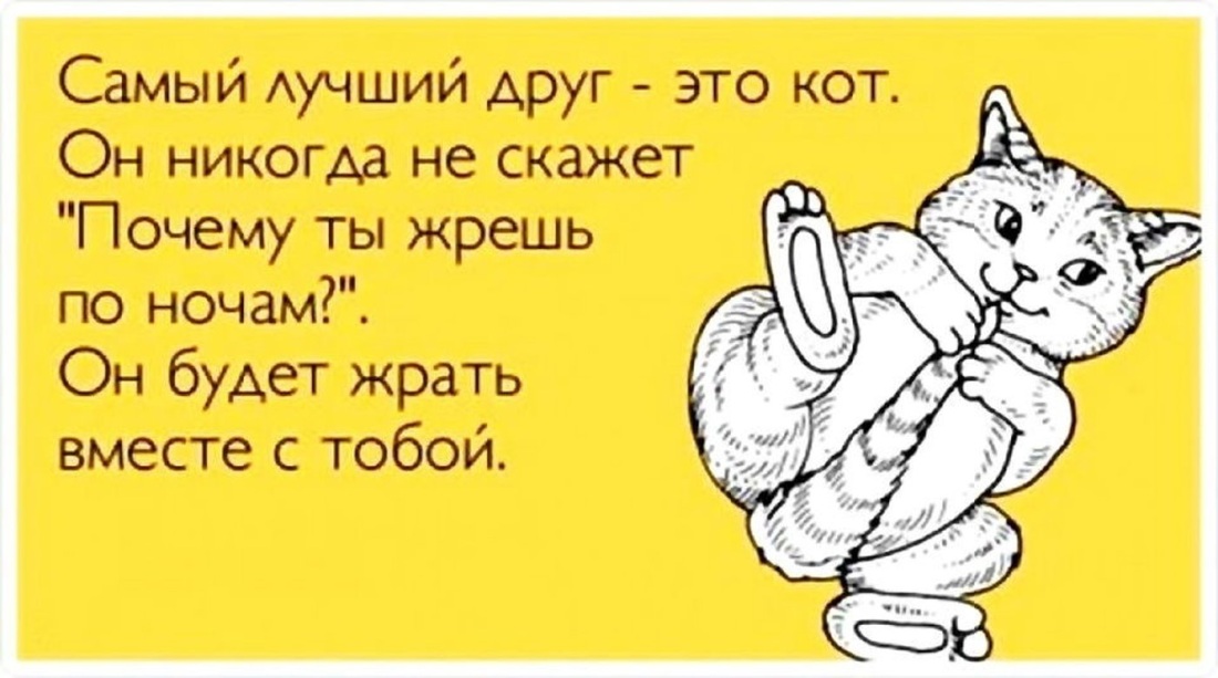 Кот шерстяное изделие развлекательного