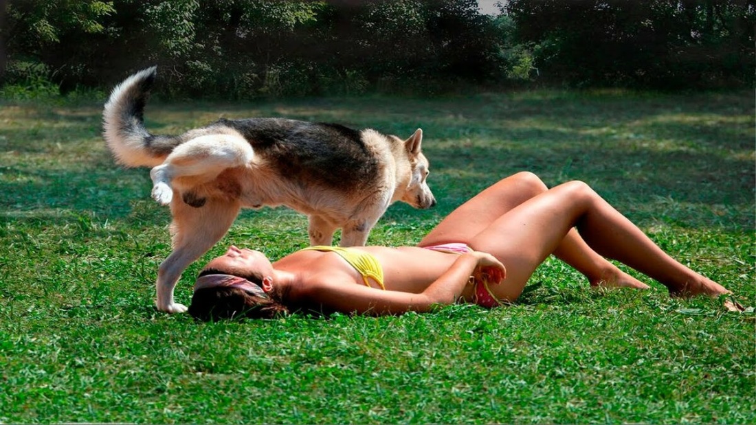 Смешные видеоролики