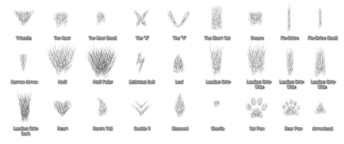 Формы и разновидности кисок