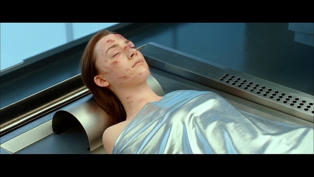 Странница фильм 2013