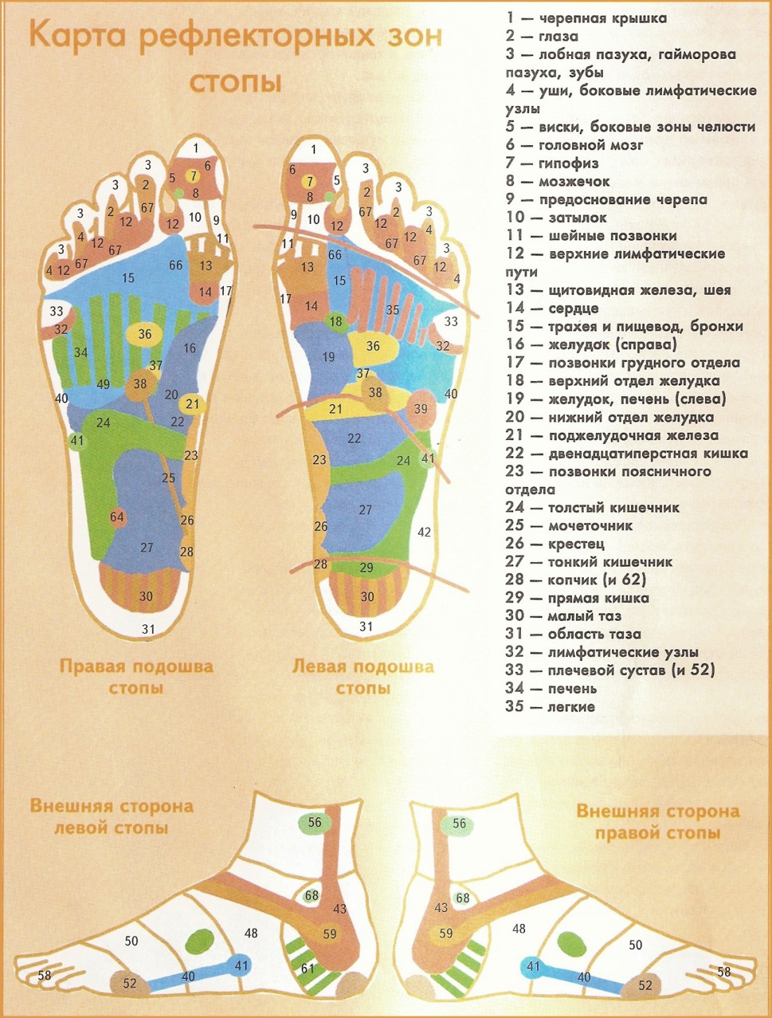Синдром Мортона неврома