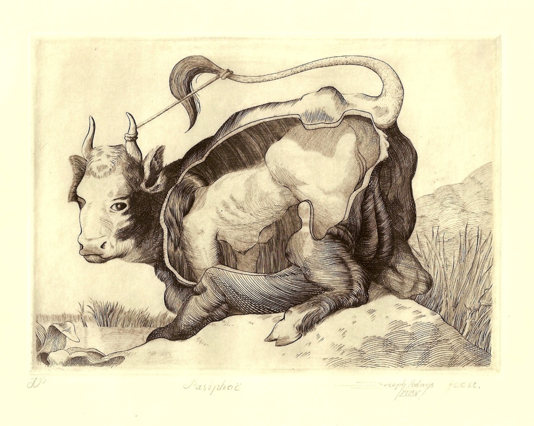 Пасифая и бык