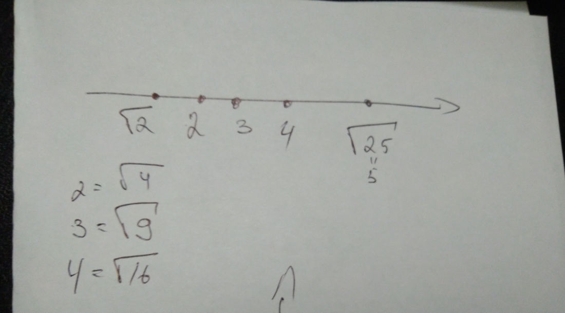 Пышки в купальниках красивые фото вид сзади