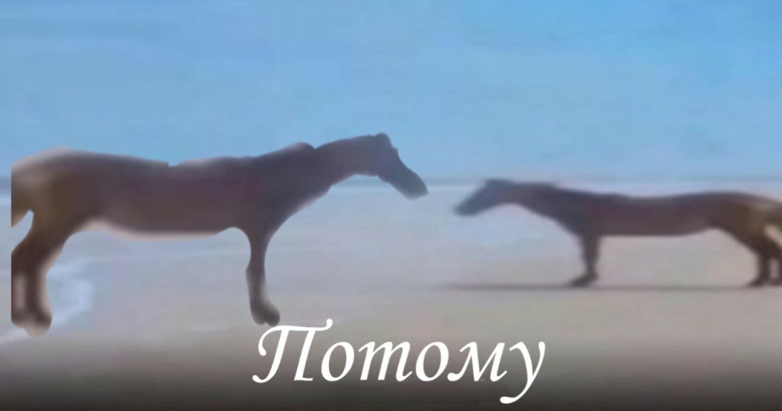 Зачем Мем с лошадью