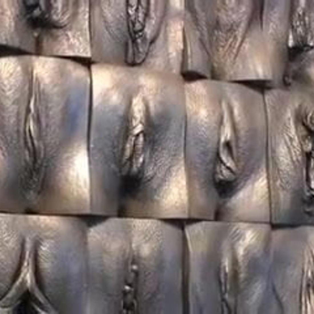 Стена вагин Джейми Маккартни