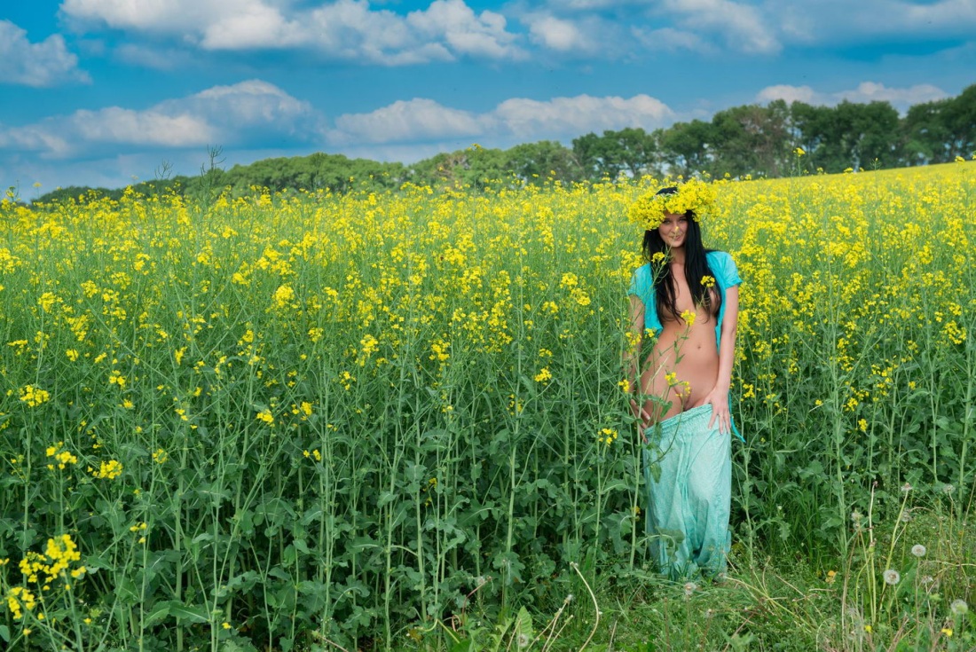 Эротическая фотосессия в подсолнухах