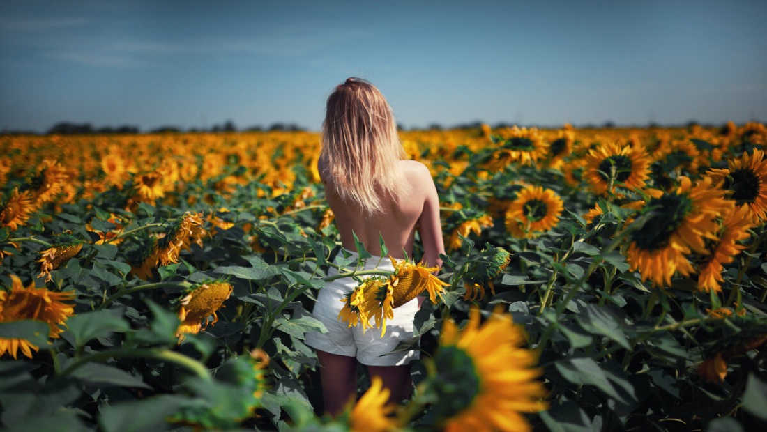 Голые девки в подсолнухах