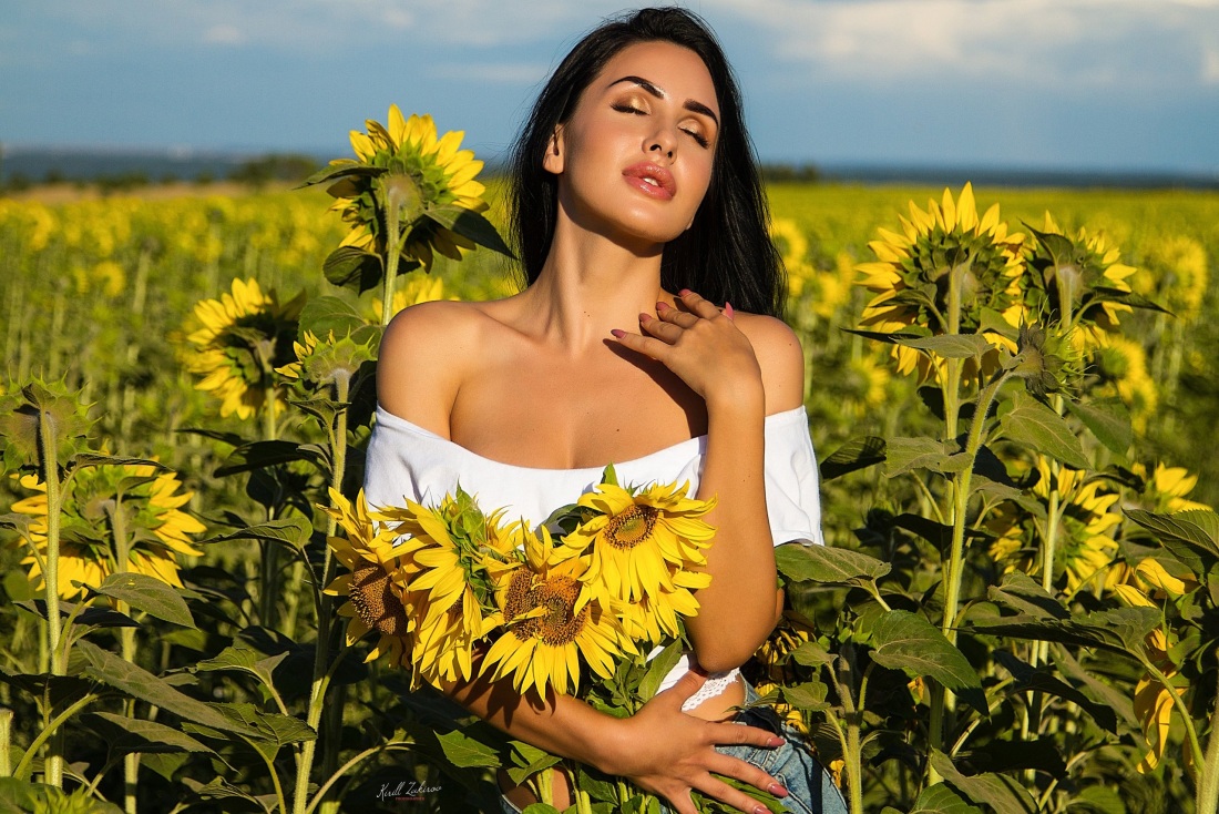 Фото голых Подсолнухи черно белые