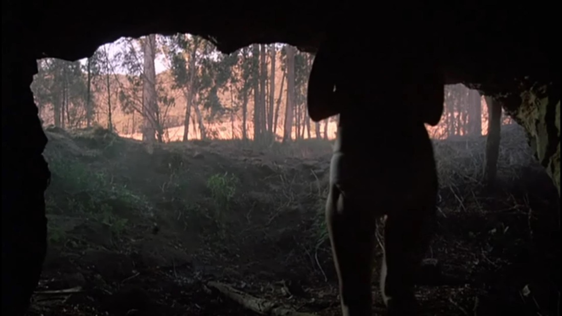 Рэйчел Клэр Уорд голая