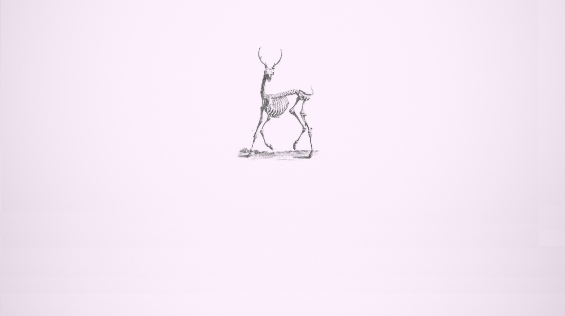 Рабочий стол Минимализм