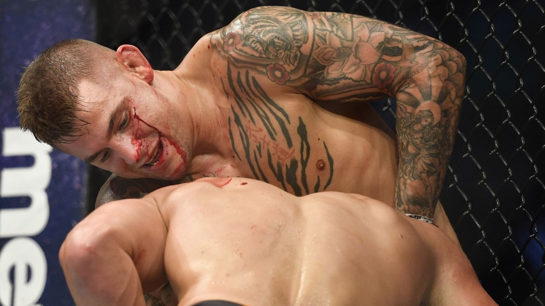 365 Фильм dni Laura