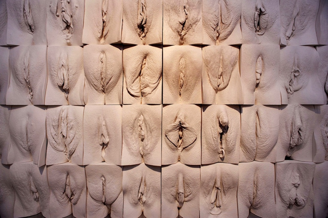 Лицо и вагина разных наций