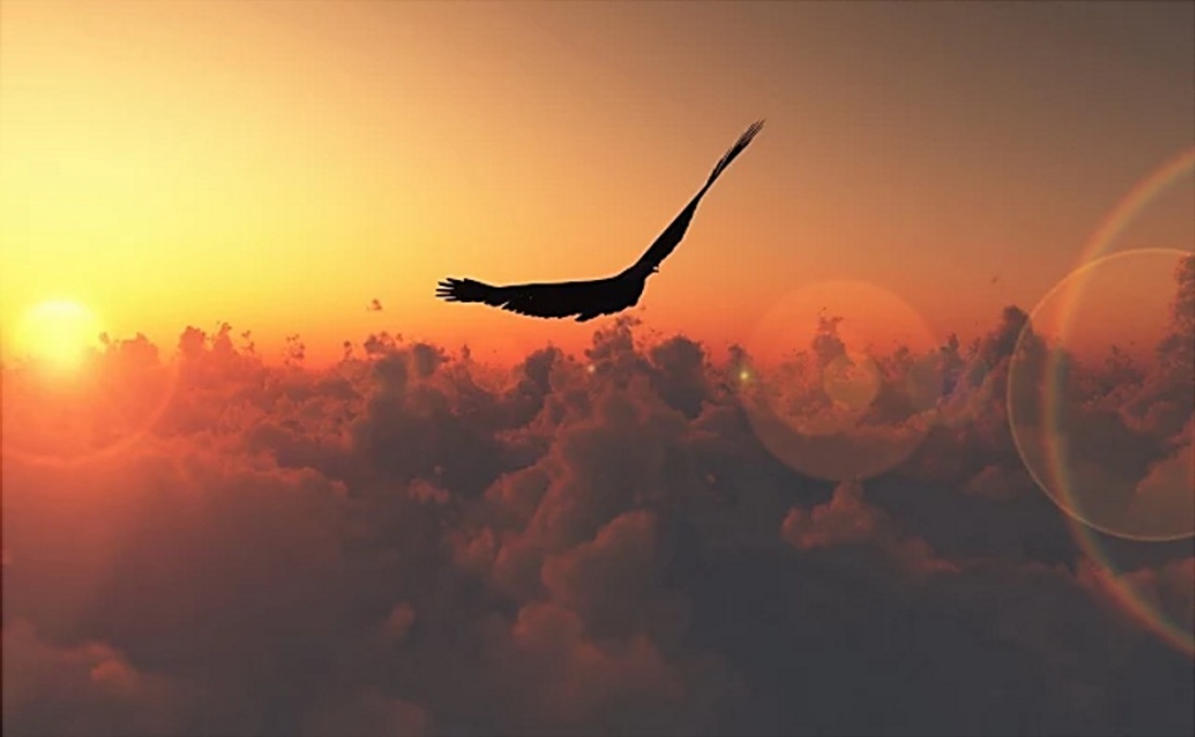 С днем родлениямужчине