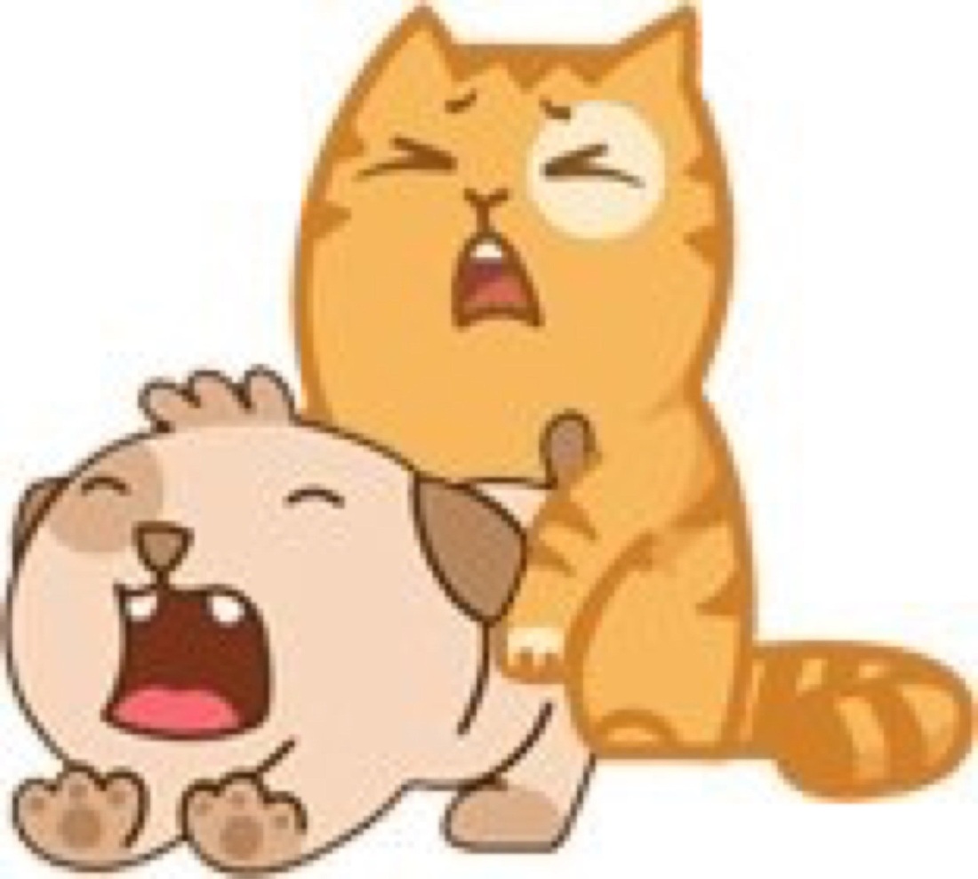 Кот персик живой