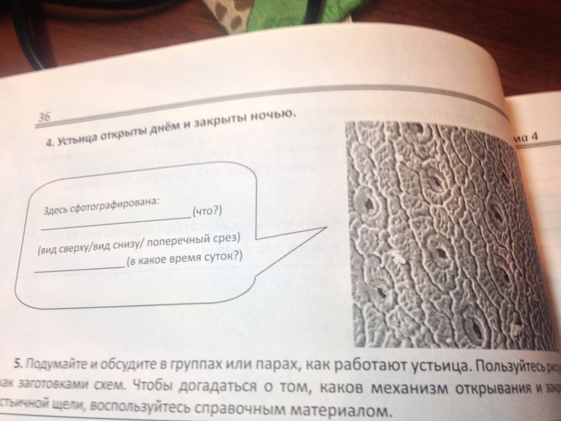 Что сверху то и снизу