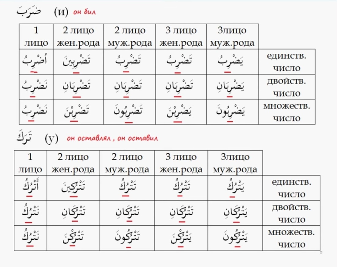 Глаголы настоящего времени в арабском языке