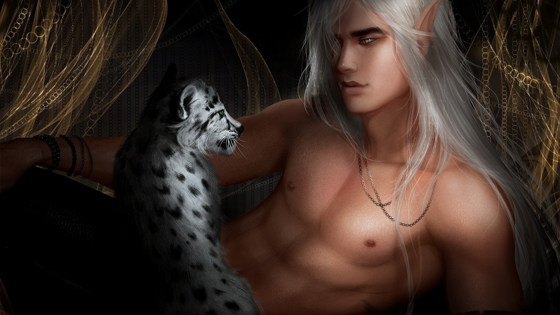 Aurvandil Cashile Вики