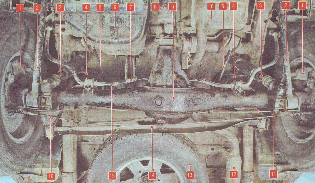 Sheena Shaw красная задница
