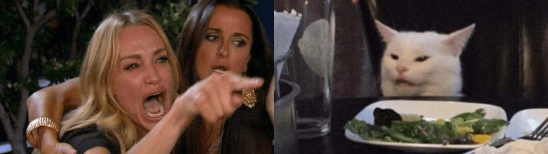 Мем кот и две девушки