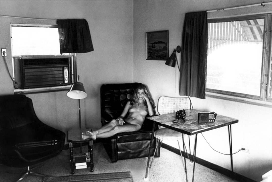 Кристин дебелл плейбой