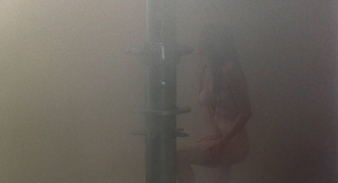 Нэнси Аллен в молодости