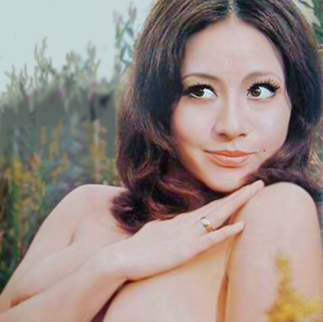 Екатерина шпица Полярный