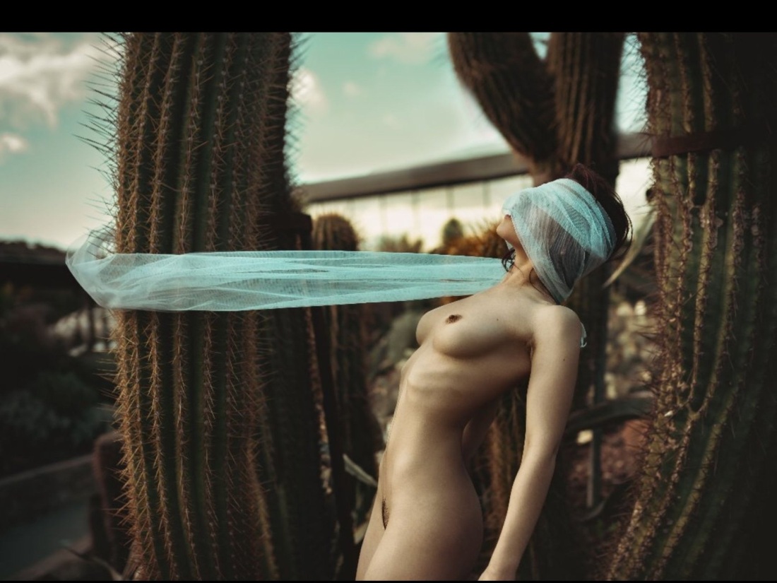 Gorilla Gonzalez актриса голая