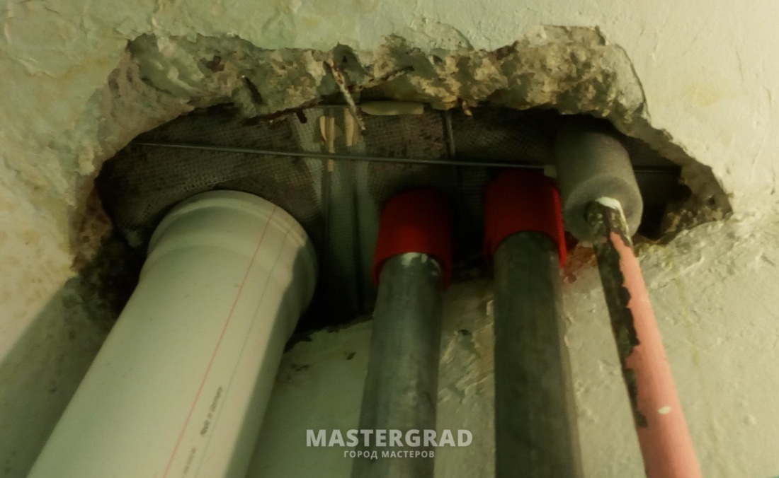 Тайлер Никсон мамочка