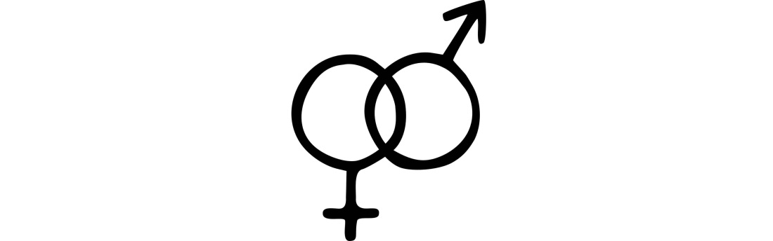 Катерина шпица Крымский мост