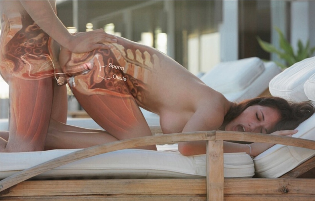 Проникновение члена в матку женщины