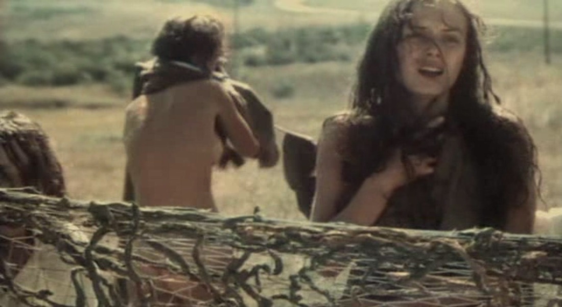 Фандера плейбой