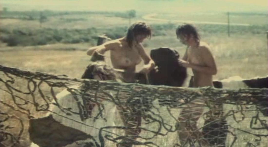 Све́тлая ли́чность 1989 ню