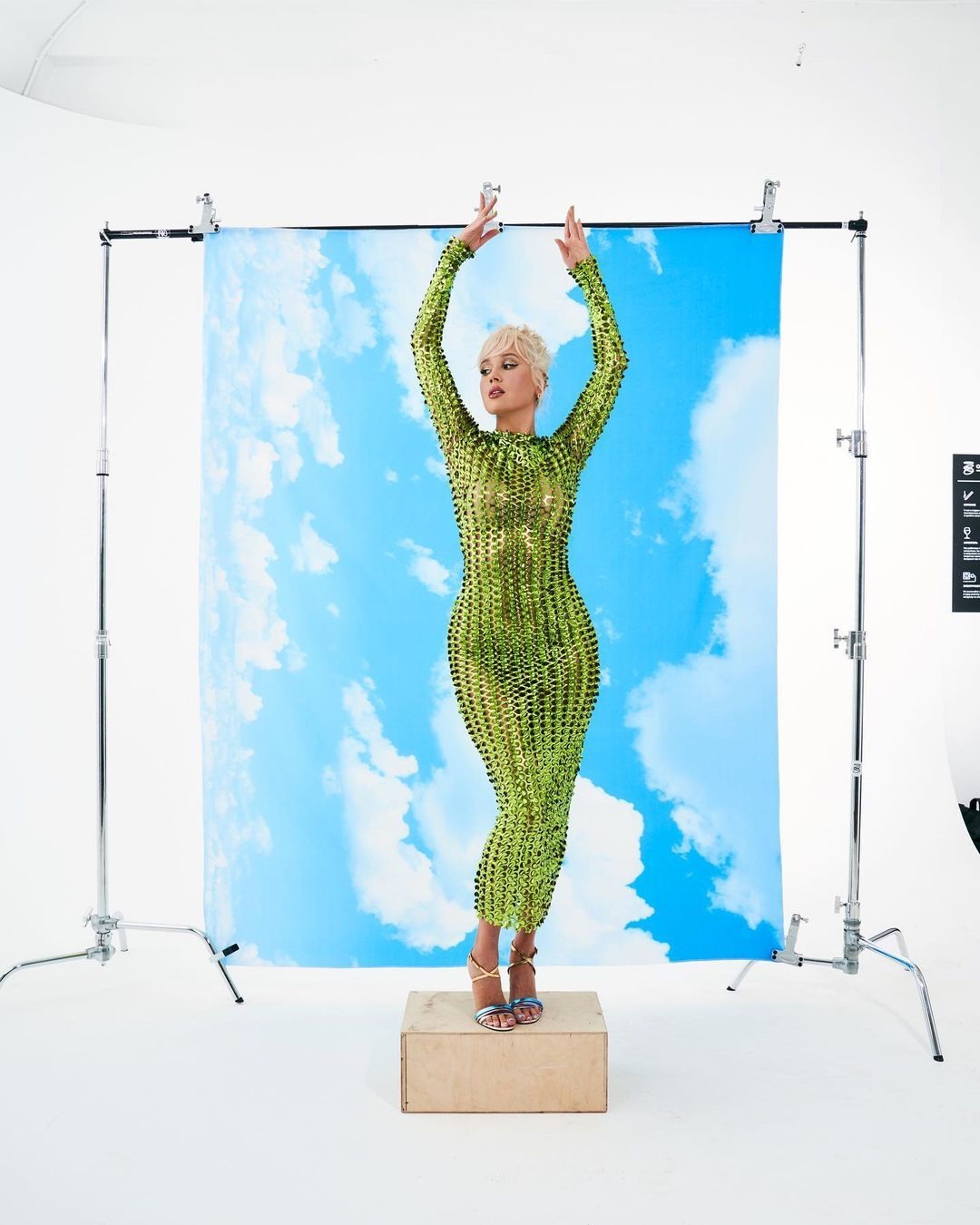 Клава Кока (Высокова)