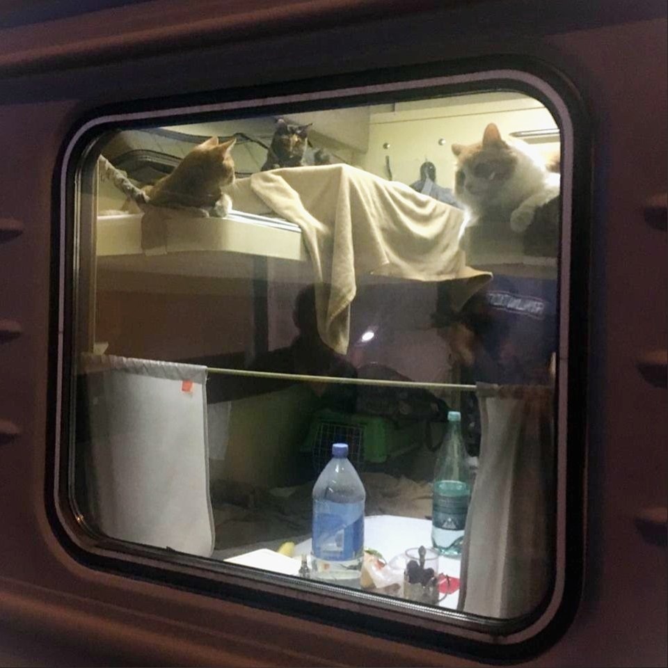 Порно вагон ресторан