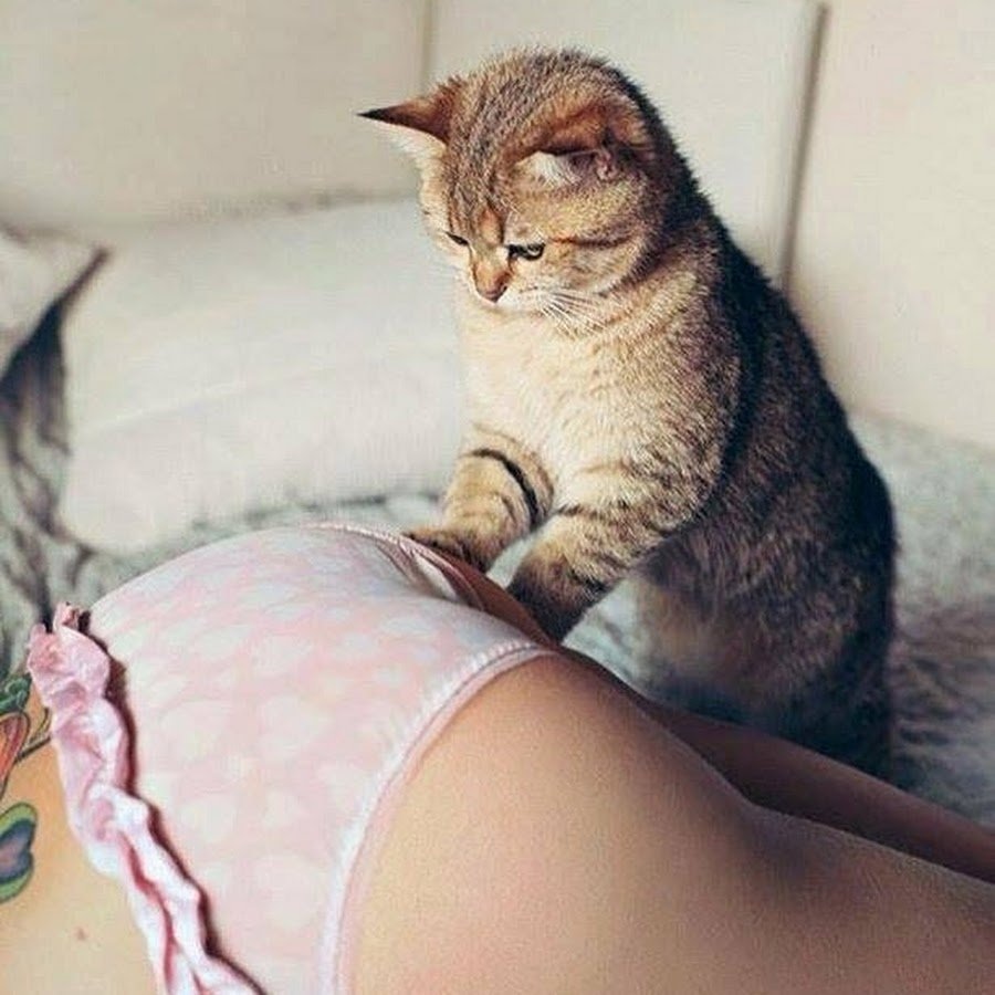 Красивые кисы девушек