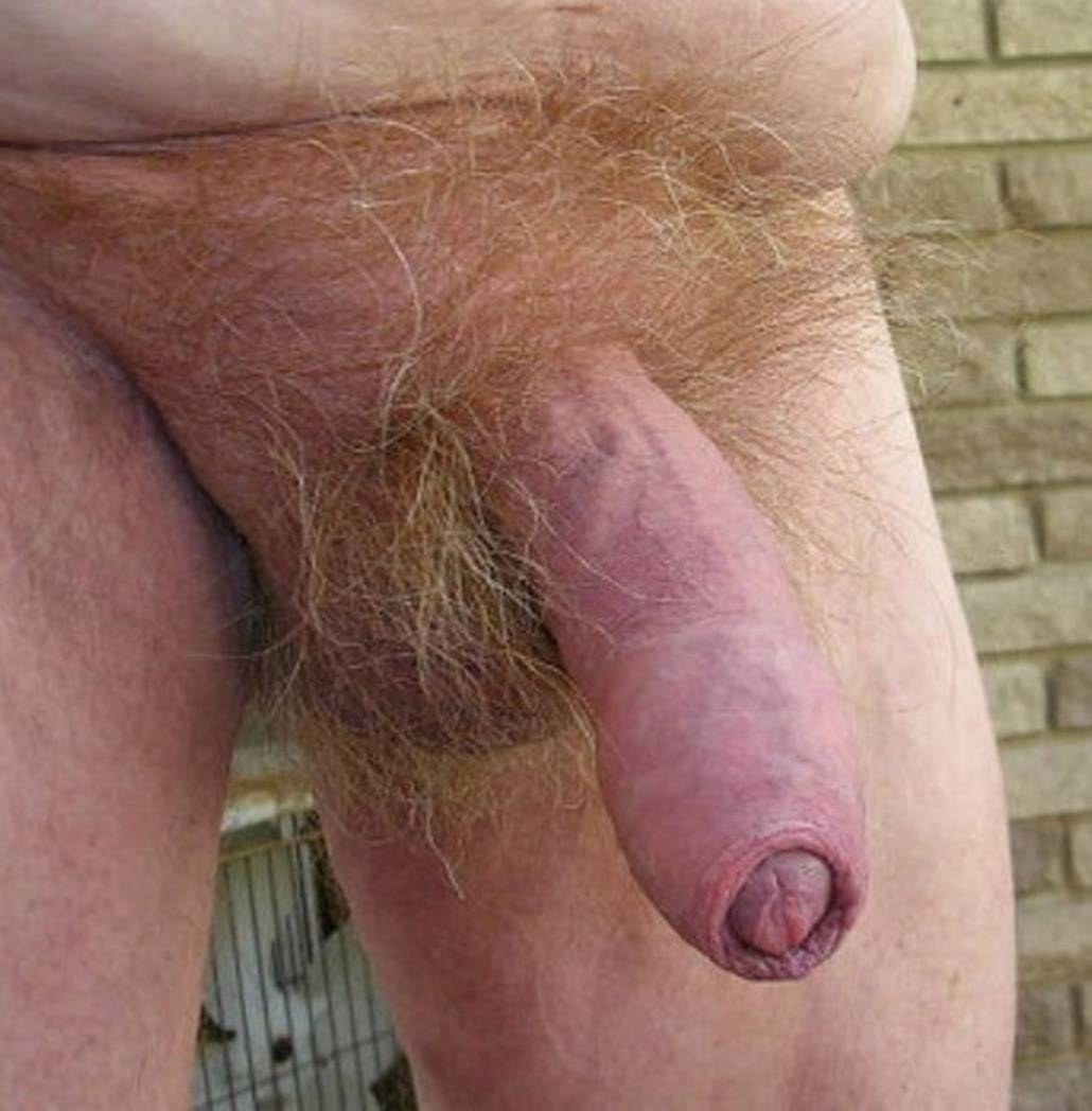 Маленький волосатый член