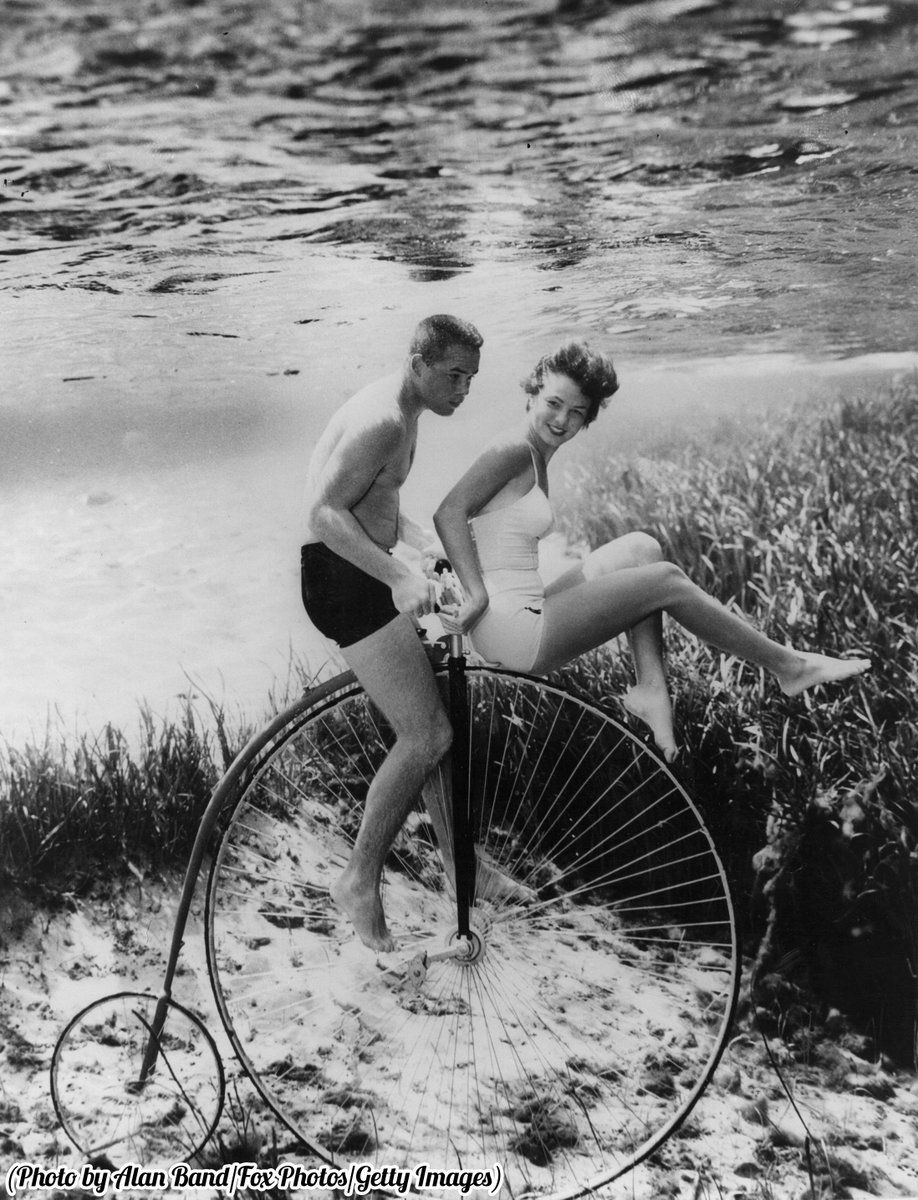 Госпожа какает в рот рабу