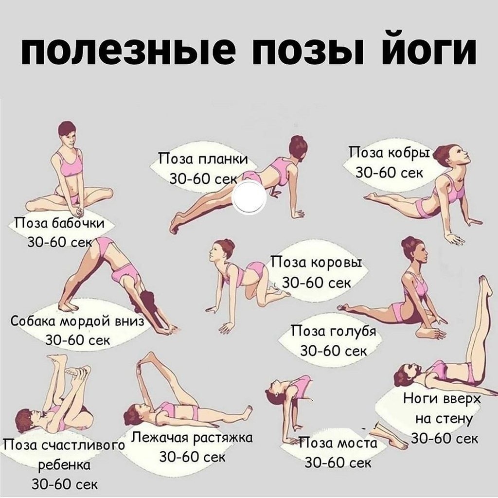 Елизавета Любавина