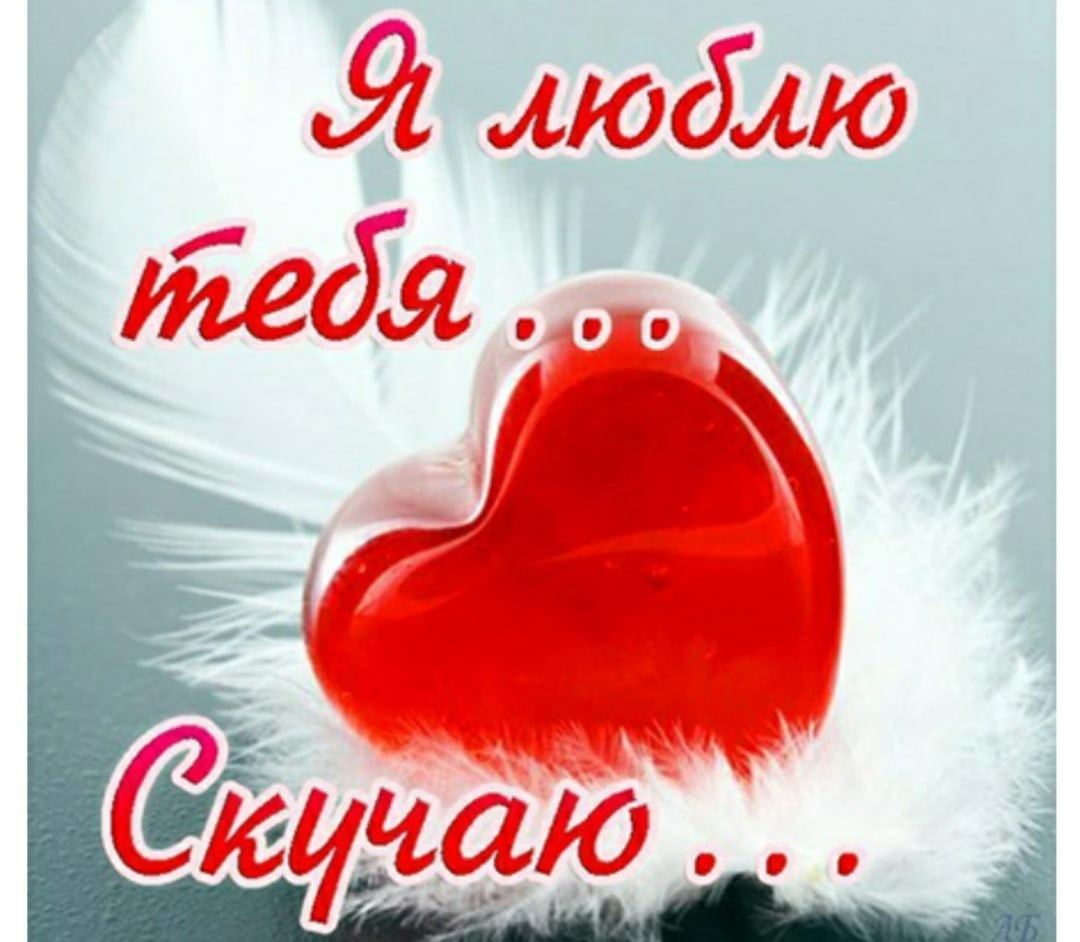 Как выглядит QR код вакцинации от коронавируса