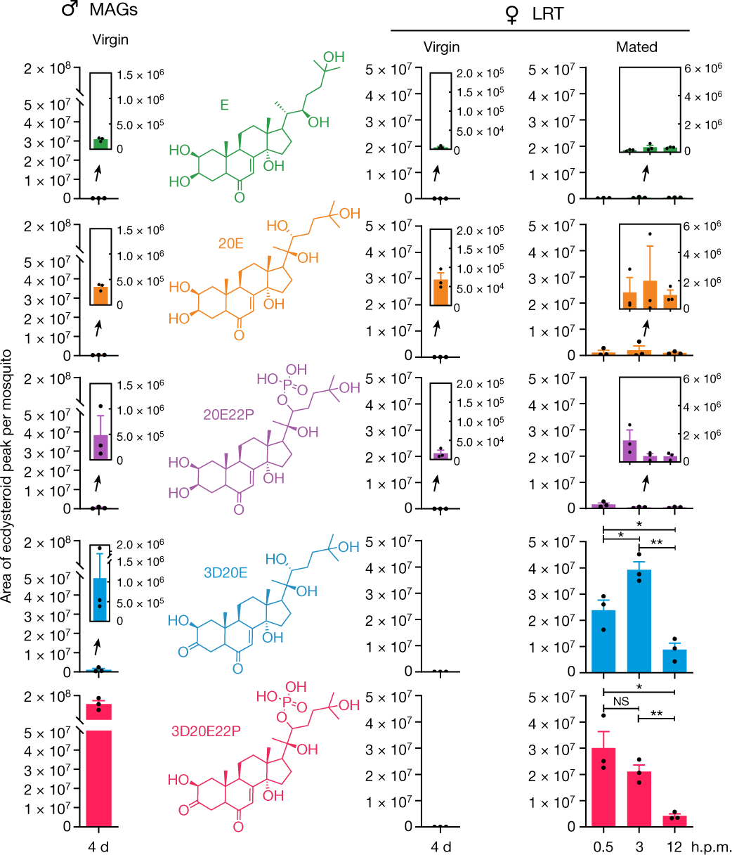 Иди сюда сейчас будем