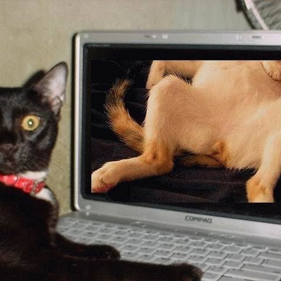 Марина культуристка