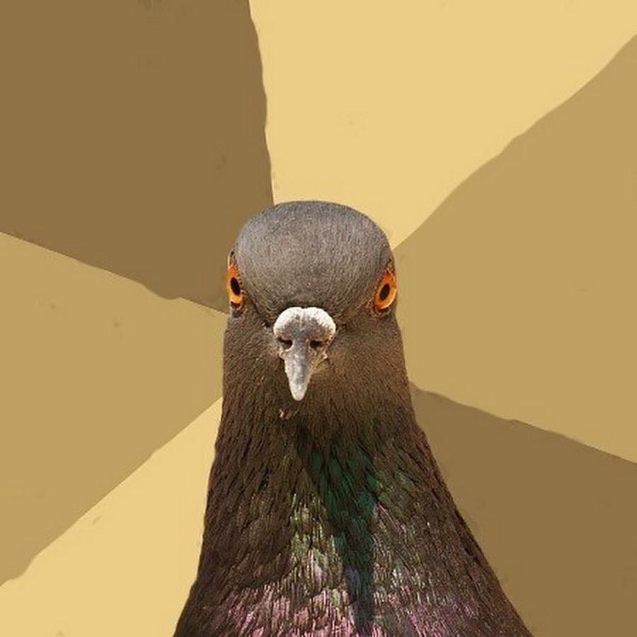 Наброски одной линией