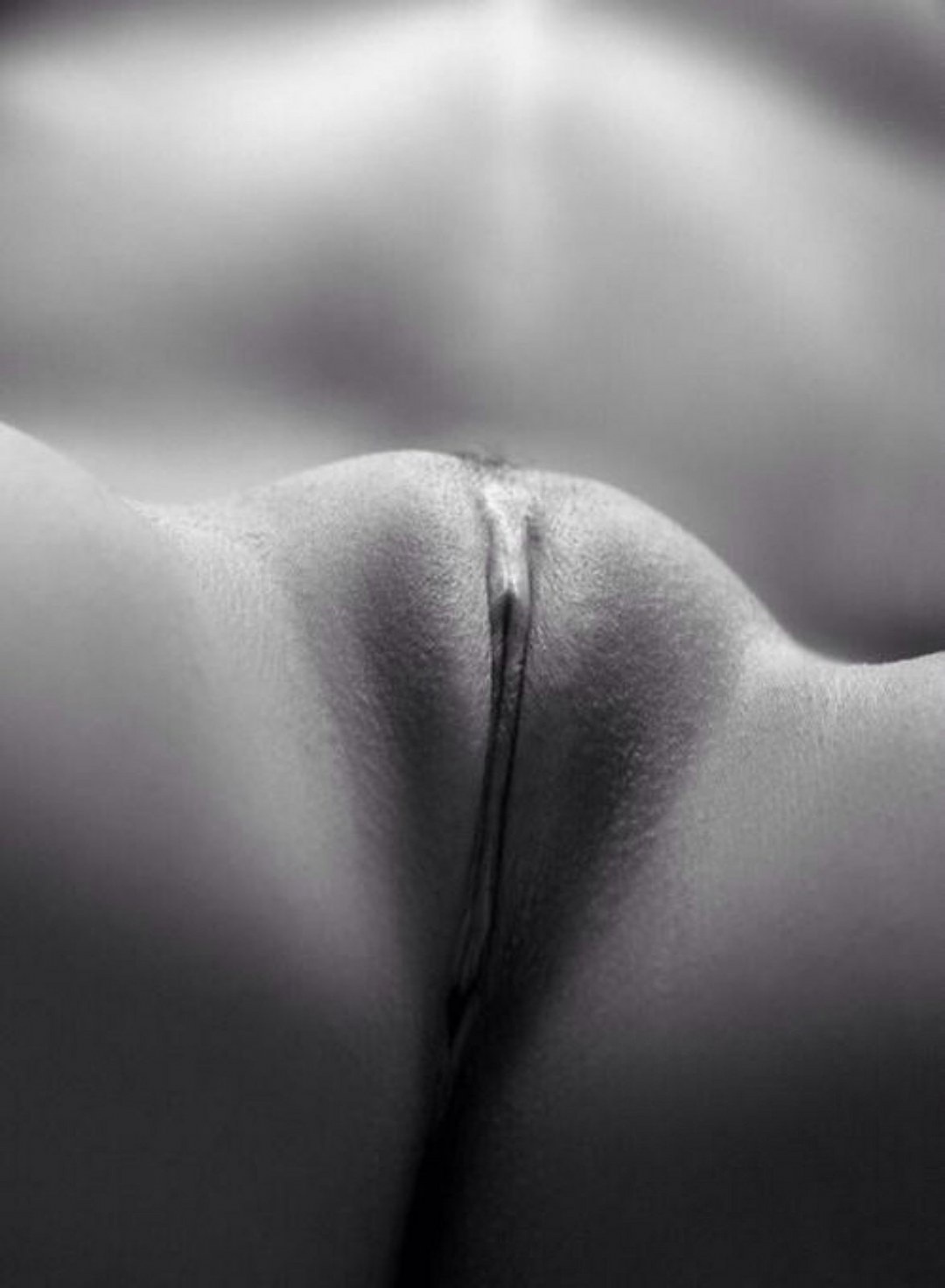 Входит в нее черно белое